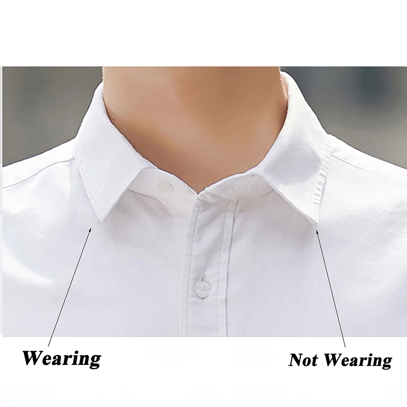 3 Size Stainless Steel Collar  - đánh giá và giá Collar Stay Metal